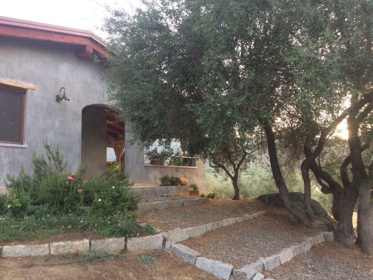 S'Umbra De S'Ozzastru Villa Orgosolo Kültér fotó