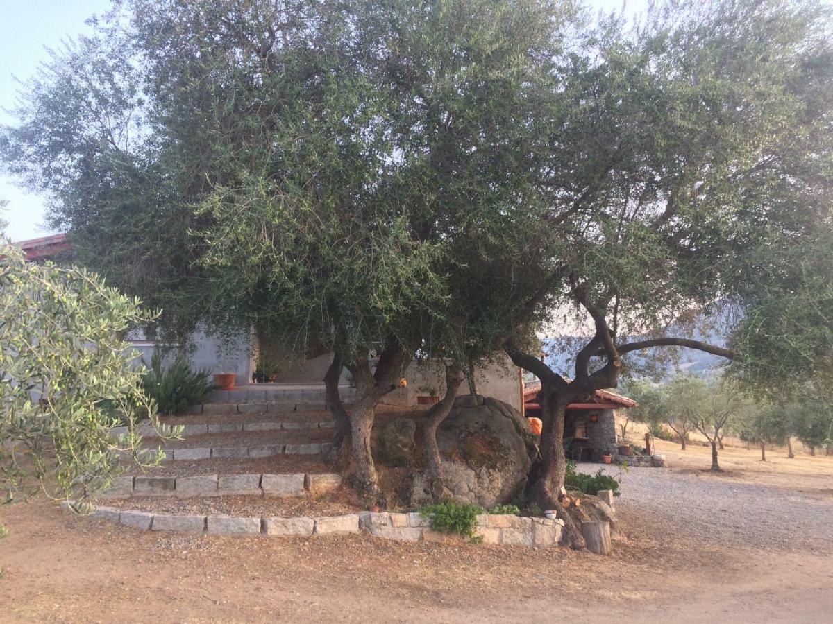 S'Umbra De S'Ozzastru Villa Orgosolo Kültér fotó