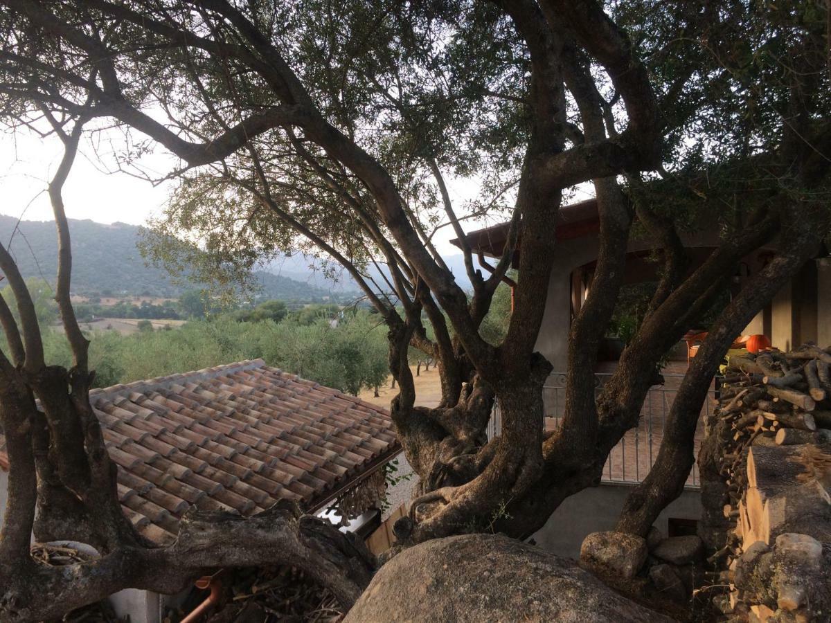 S'Umbra De S'Ozzastru Villa Orgosolo Kültér fotó