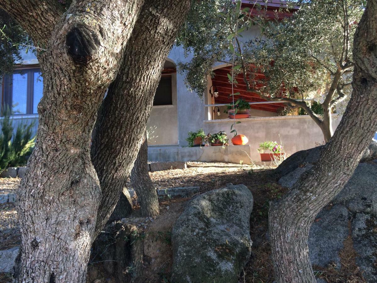 S'Umbra De S'Ozzastru Villa Orgosolo Kültér fotó