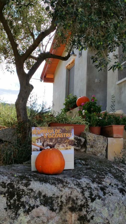 S'Umbra De S'Ozzastru Villa Orgosolo Kültér fotó