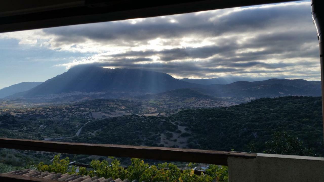 S'Umbra De S'Ozzastru Villa Orgosolo Kültér fotó